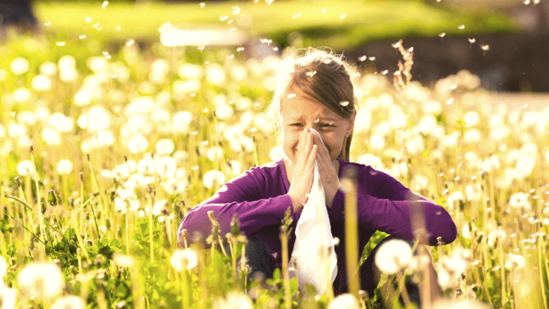 Gr Ser Allergie Ursachen Symptome Und Behandlungsm Glichkeiten Allergyl